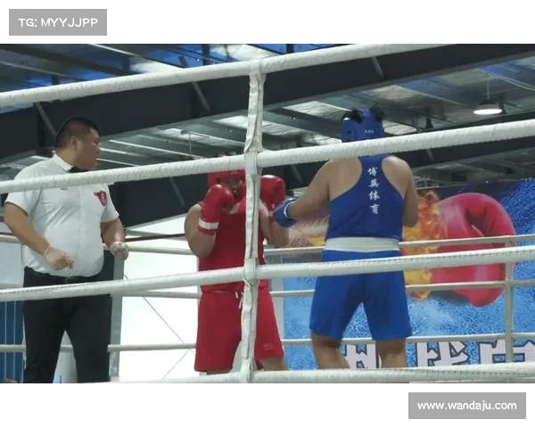 最大的拳击赛事、最大的拳击赛事排名